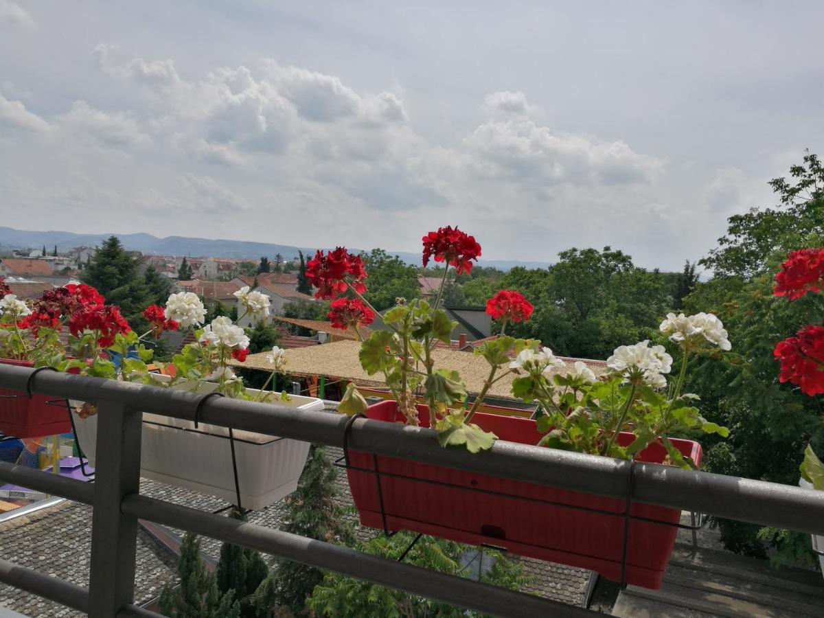 Helena Apartment Novi Sad Exterior foto